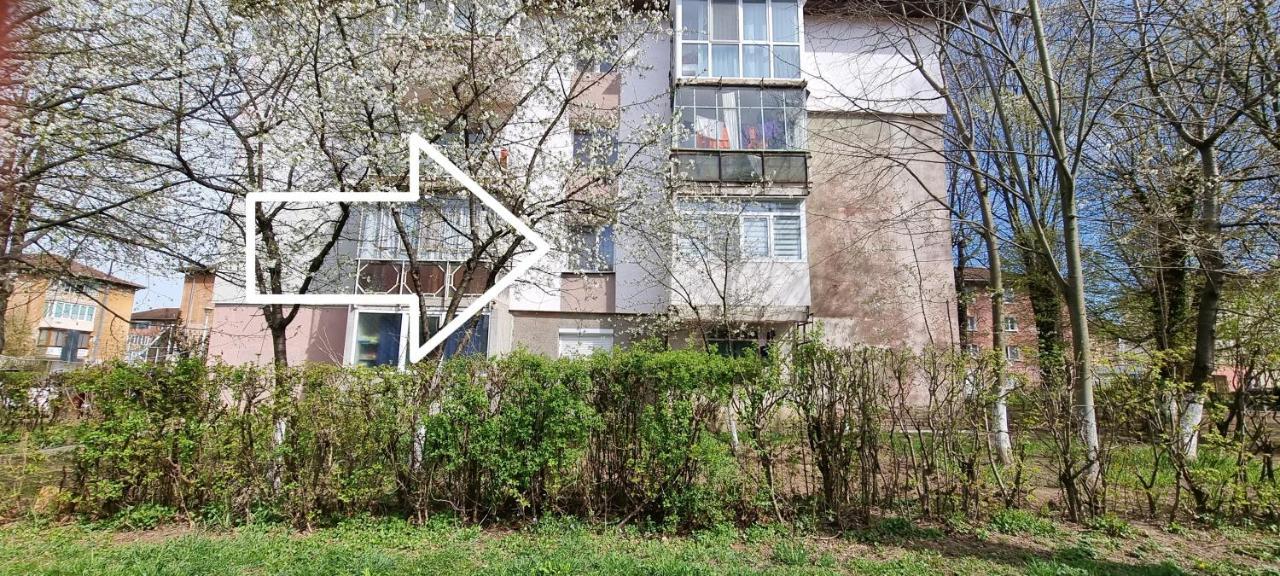 Studio Vale Apartment Hunedoara Luaran gambar