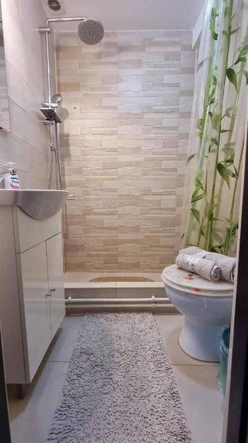 Studio Vale Apartment Hunedoara Luaran gambar