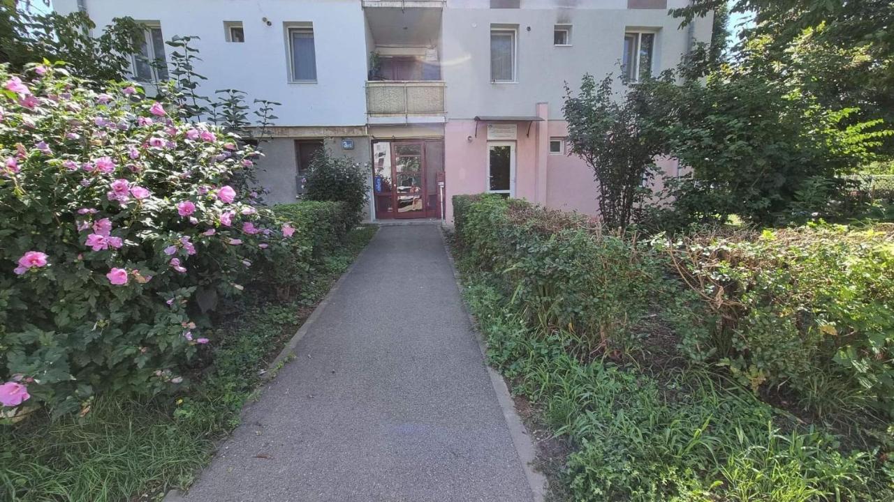 Studio Vale Apartment Hunedoara Luaran gambar